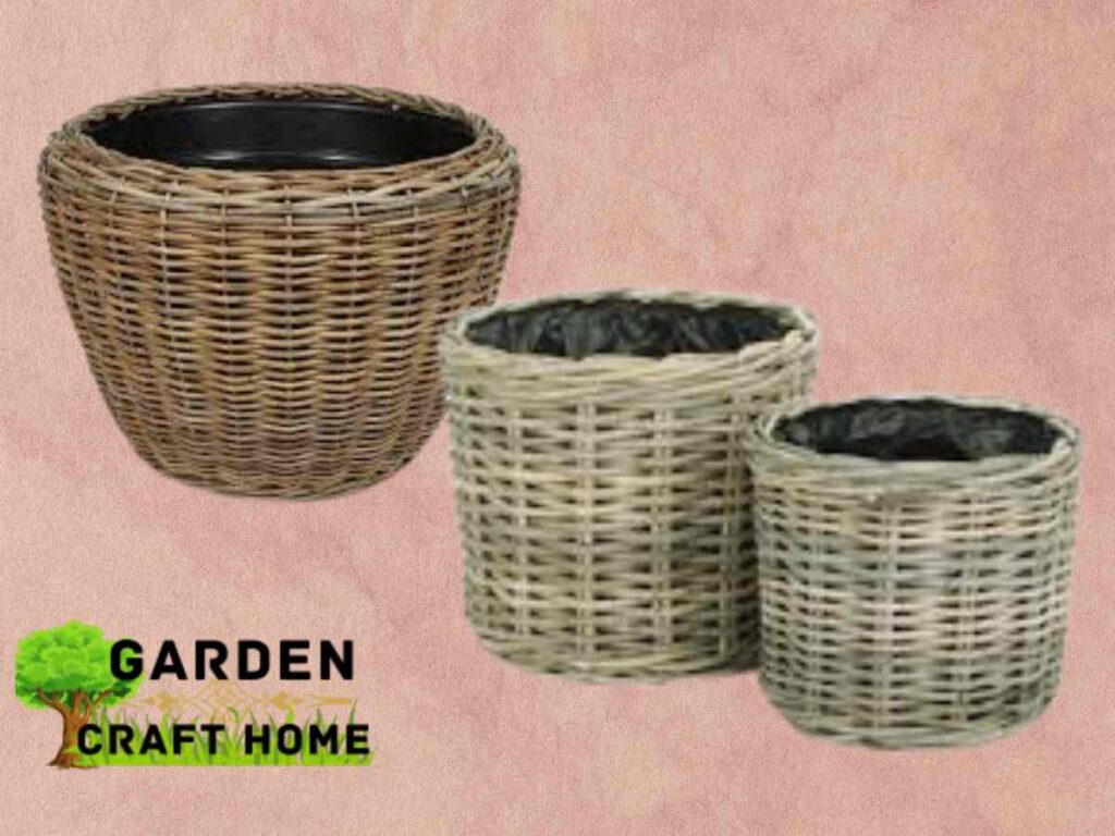 a Rattan type of Planters