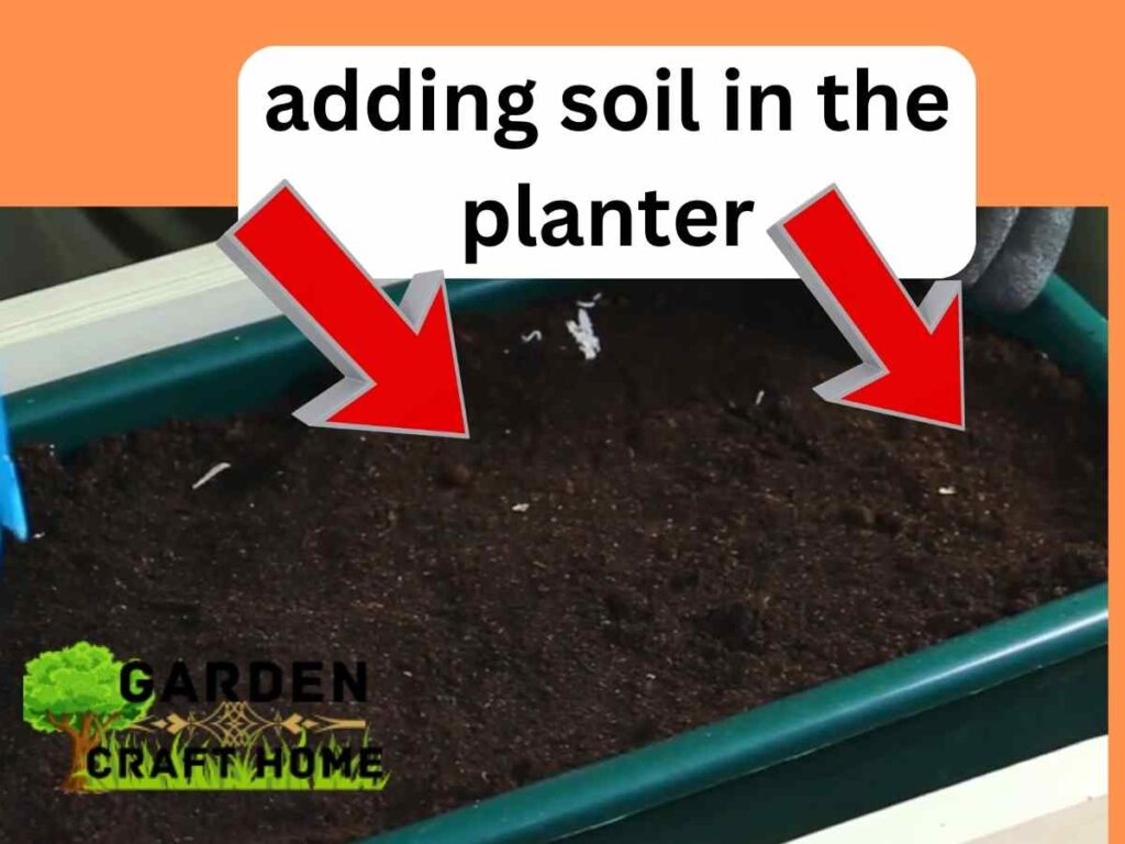 adding soil in the planter