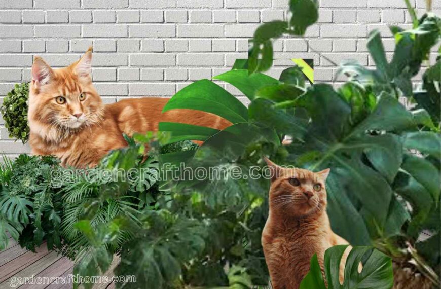 how To Prevent Cat From Monstera Plant