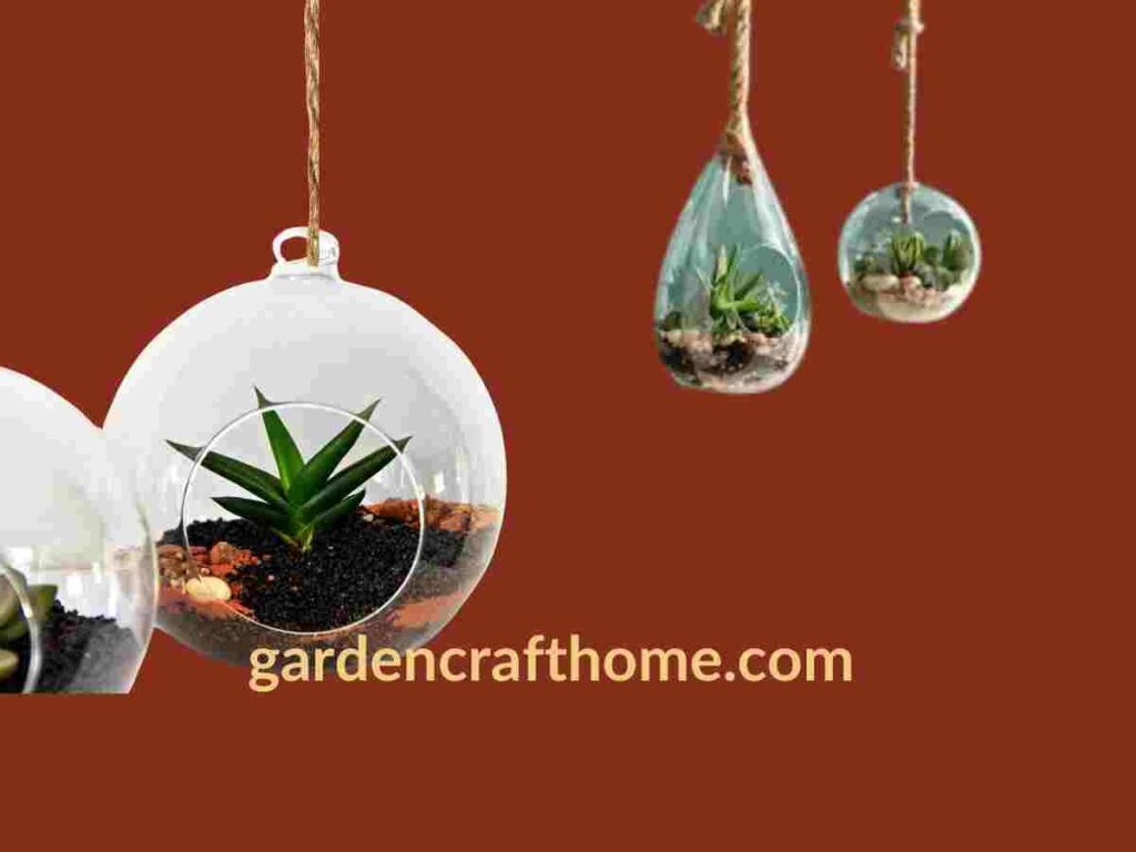 Hanging Terrariums