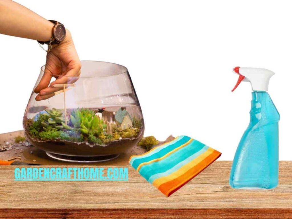 clean terrarium glass