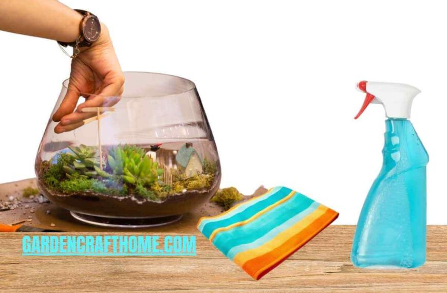 clean terrarium glass