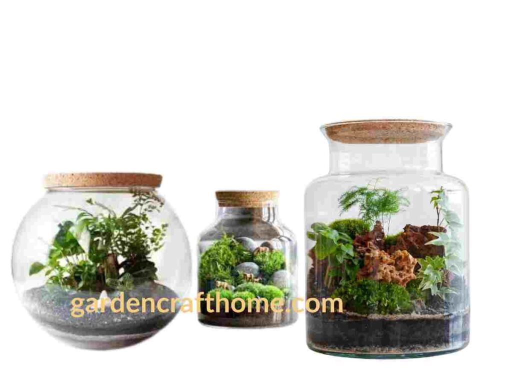 close Terrarium